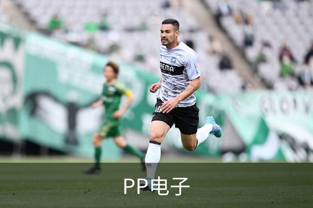 PP电子公司介绍展示图